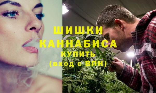 дмт Сатка