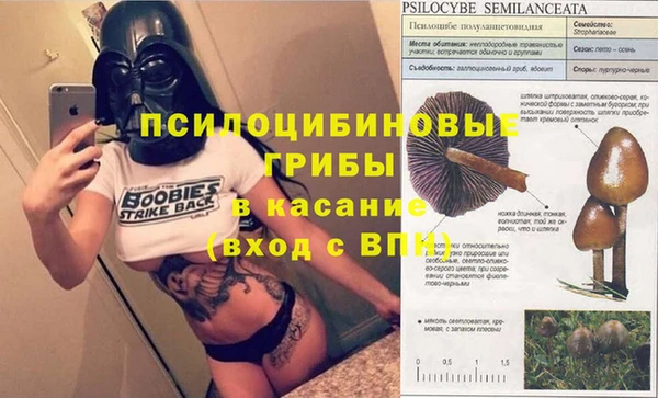 дмт Сатка