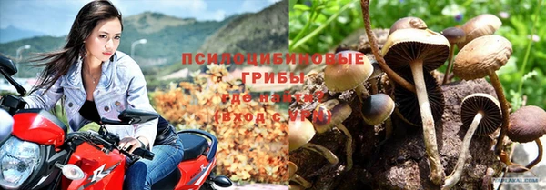 дмт Сатка