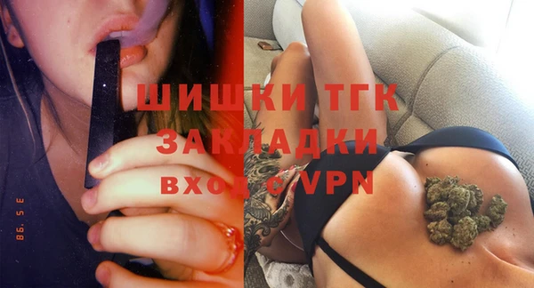 дмт Сатка