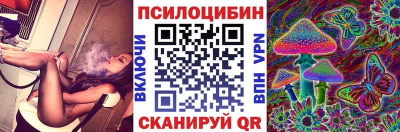 где купить наркотик  Спасск-Дальний  Псилоцибиновые грибы Psilocybe 