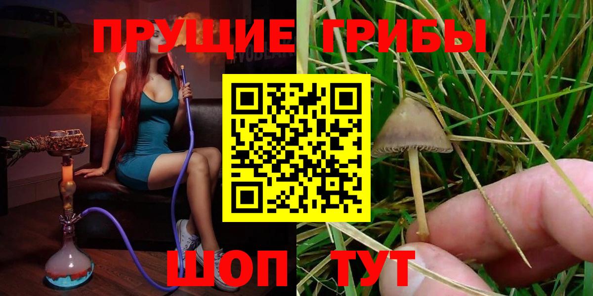 Спасск-Дальний  Галлюциногенные грибы GOLDEN TEACHER  Вход с VPN 