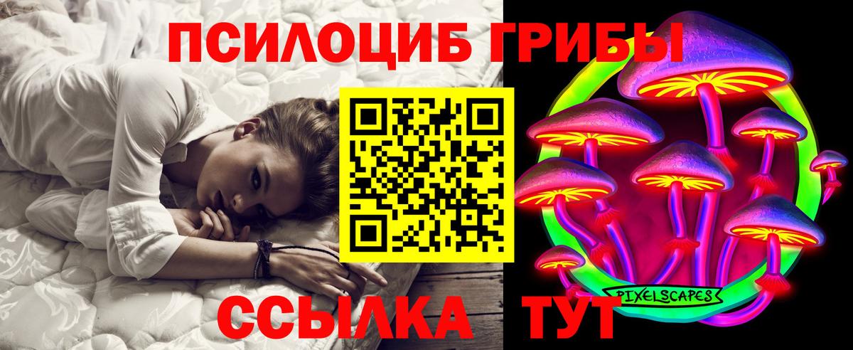 Галлюциногенные грибы Psilocybe Спасск-Дальний