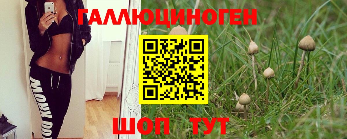 Псилоцибиновые грибы ЛСД Спасск-Дальний