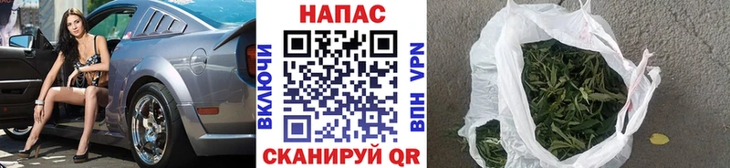 как найти наркотики  Спасск-Дальний  Бошки Шишки сатива 